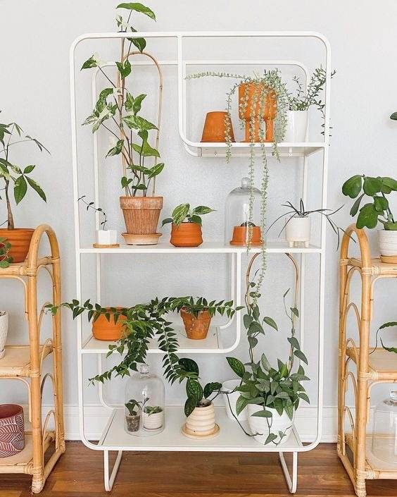 35 Inspiring Garden Ideas For Wannabe Plant Parents - 247