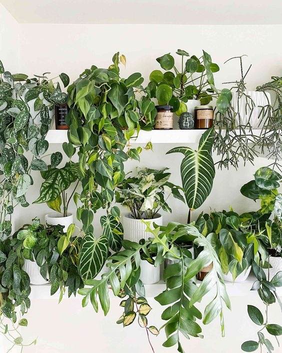 35 Inspiring Garden Ideas For Wannabe Plant Parents - 259