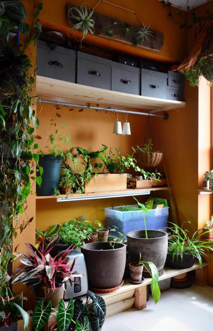 35 Inspiring Garden Ideas For Wannabe Plant Parents - 289