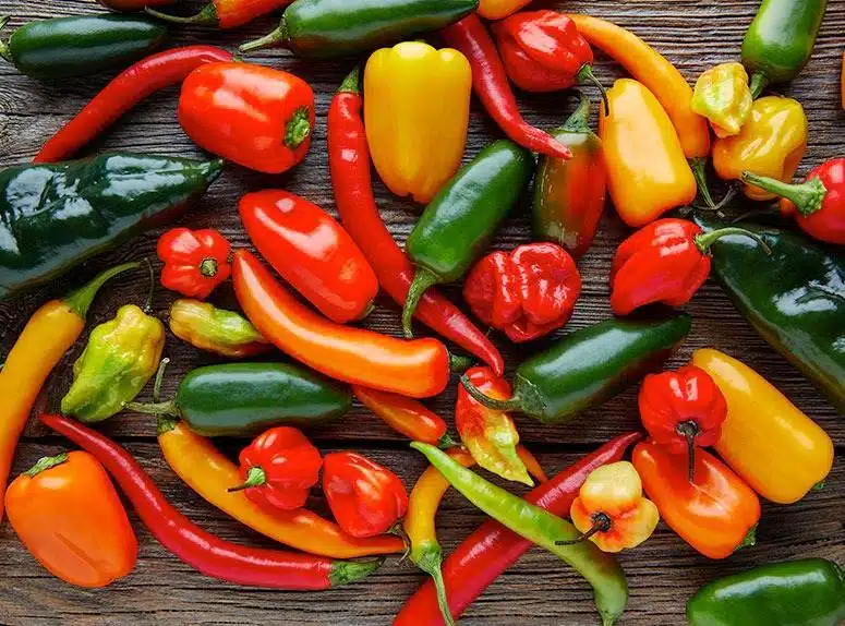 6 Amazing Secrets To Grow Peppers Faster, Bigger, And Better - 73