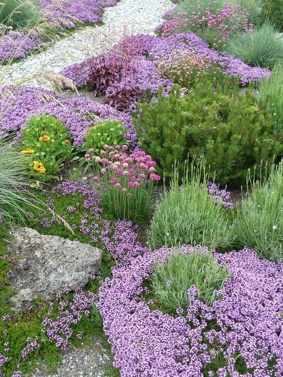 30 Enchanting Landscaping Ideas With Gorgeous Purple Plants - 199