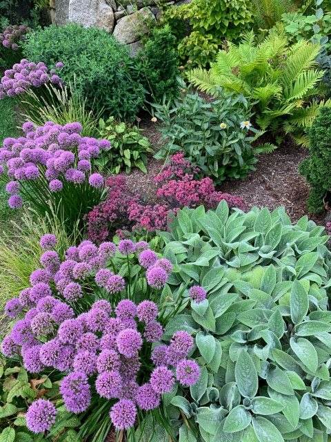 30 Enchanting Landscaping Ideas With Gorgeous Purple Plants - 221