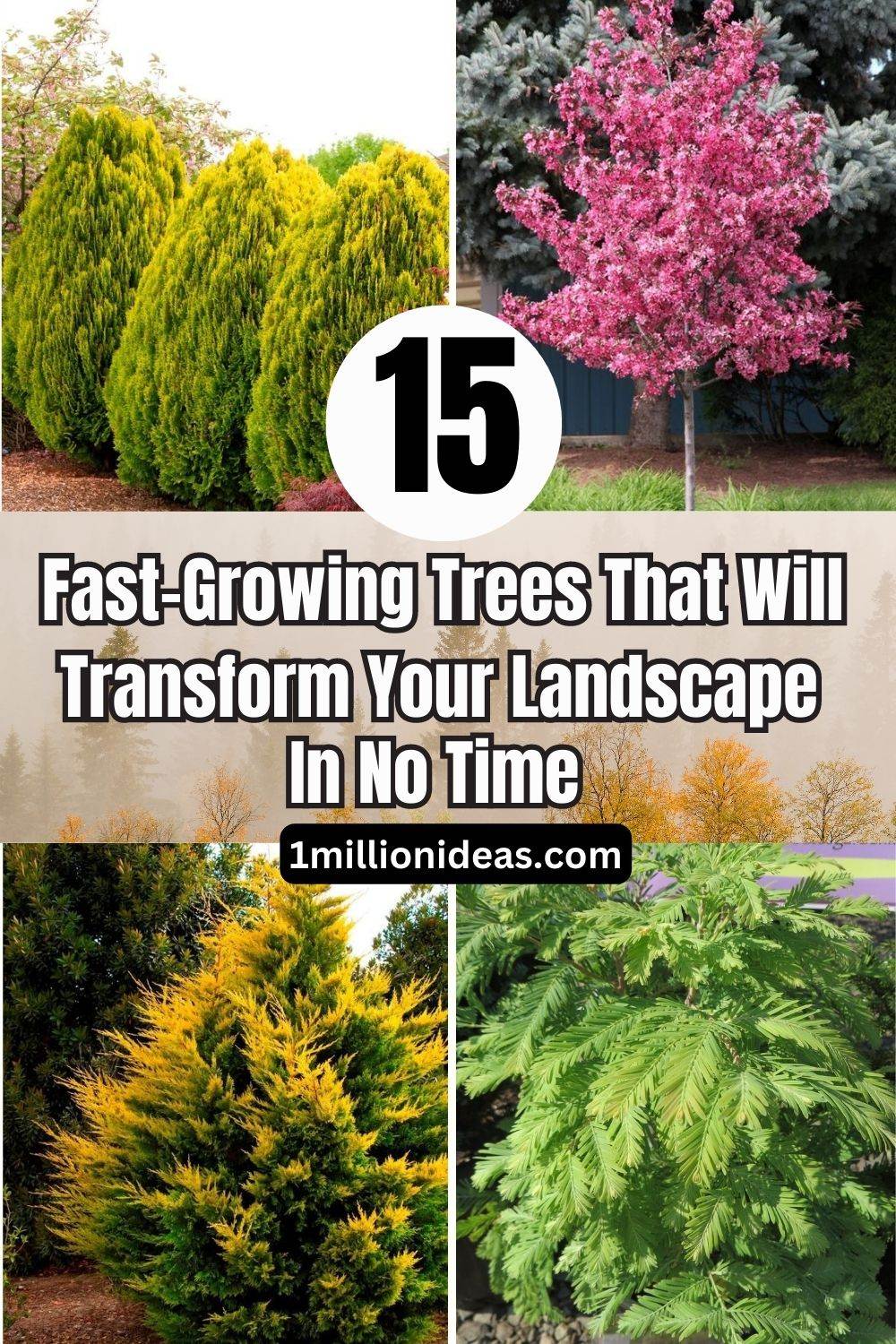 15 Fast-Growing Trees That Will Transform Your Landscape In No Time - 101