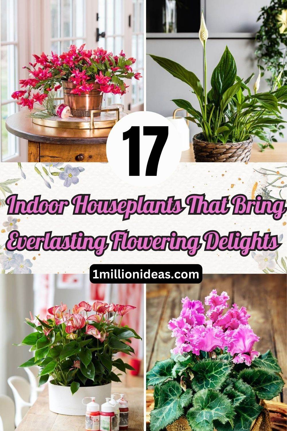 17 Indoor Houseplants That Bring Everlasting Flowering Delights - 113