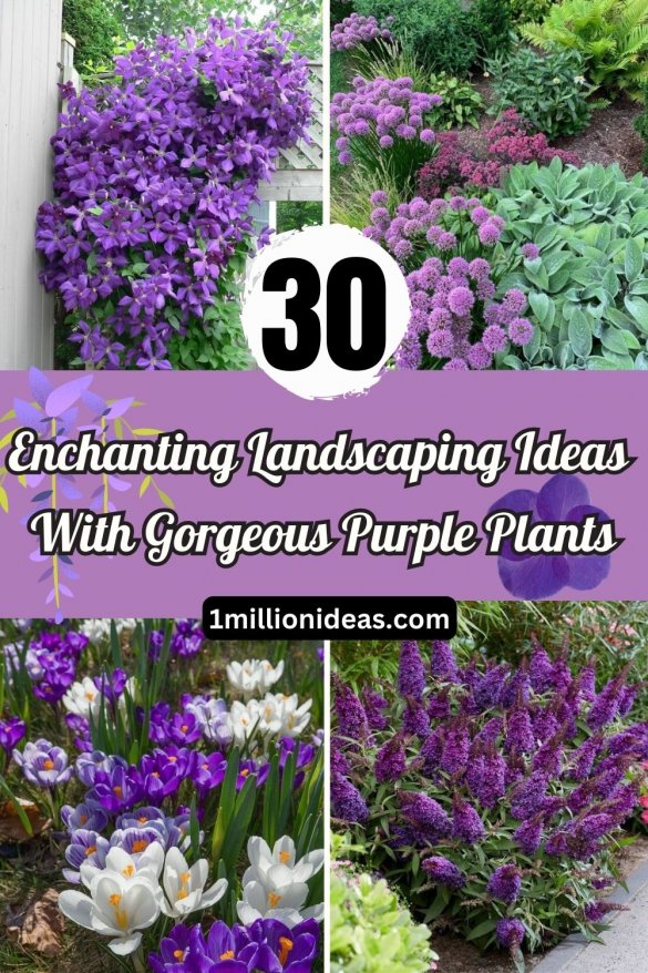 30 Enchanting Landscaping Ideas With Gorgeous Purple Plants