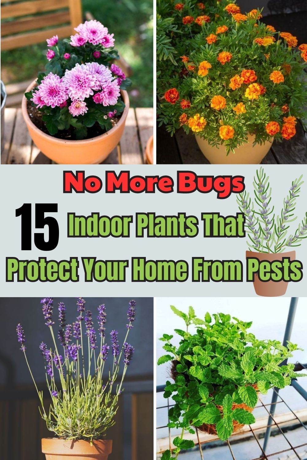 No More Bugs! 15 Indoor Plants That Protect Your Home From Pests - 101