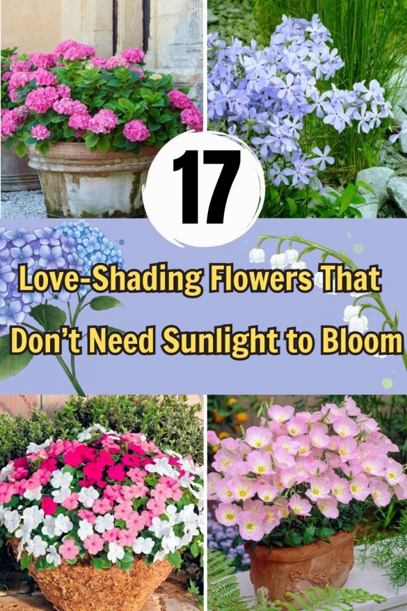 17 Love-Shading Flowers That Don’t Need Sunlight To Bloom