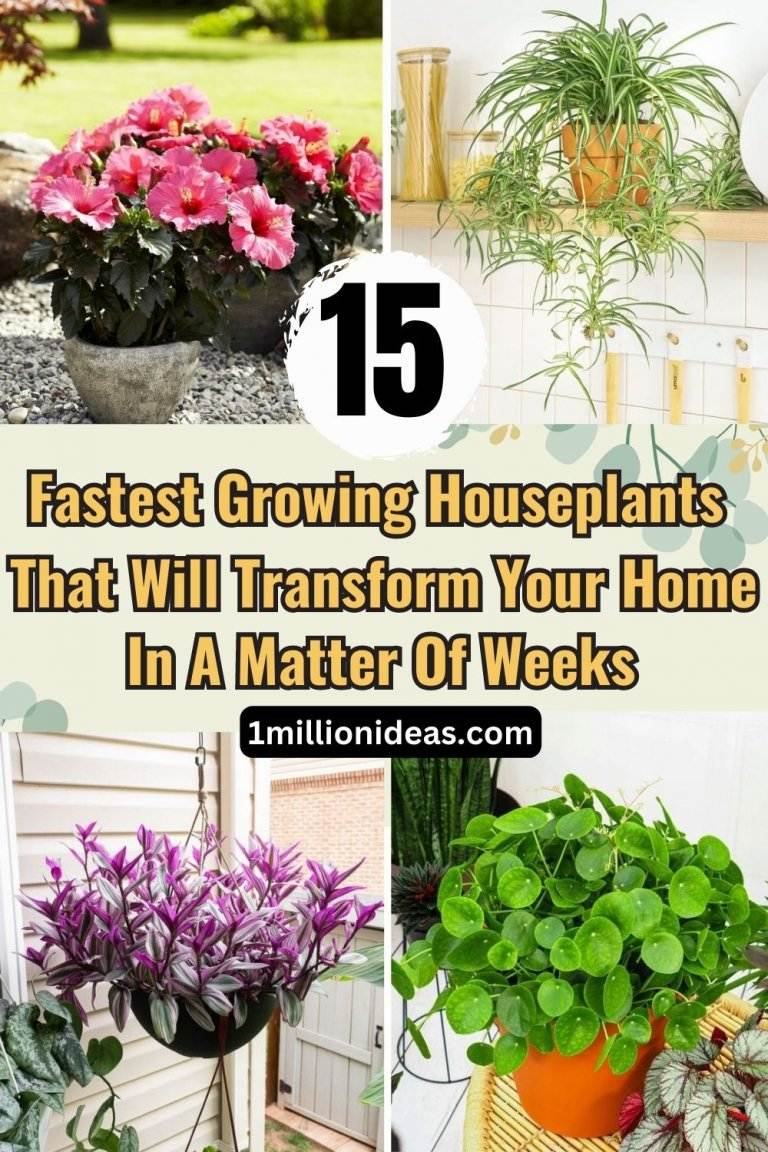 15 Fastest Growing Houseplants That Will Transform Your Home In A Matter Of Weeks