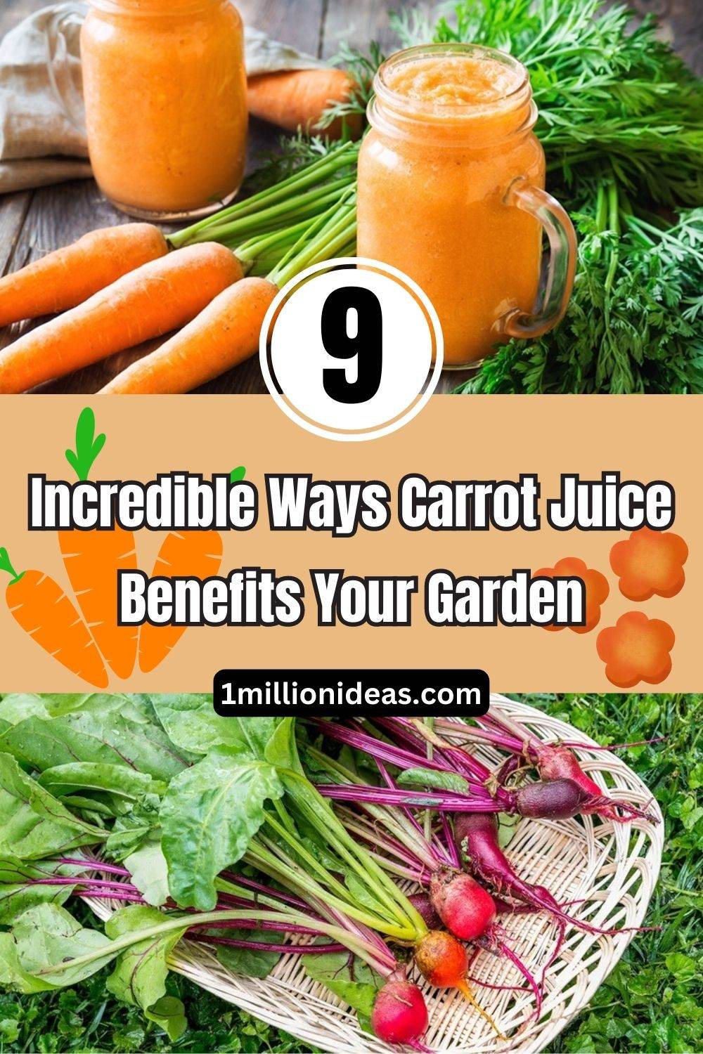 9 Incredible Ways Carrot Juice Benefits Your Garden - 59