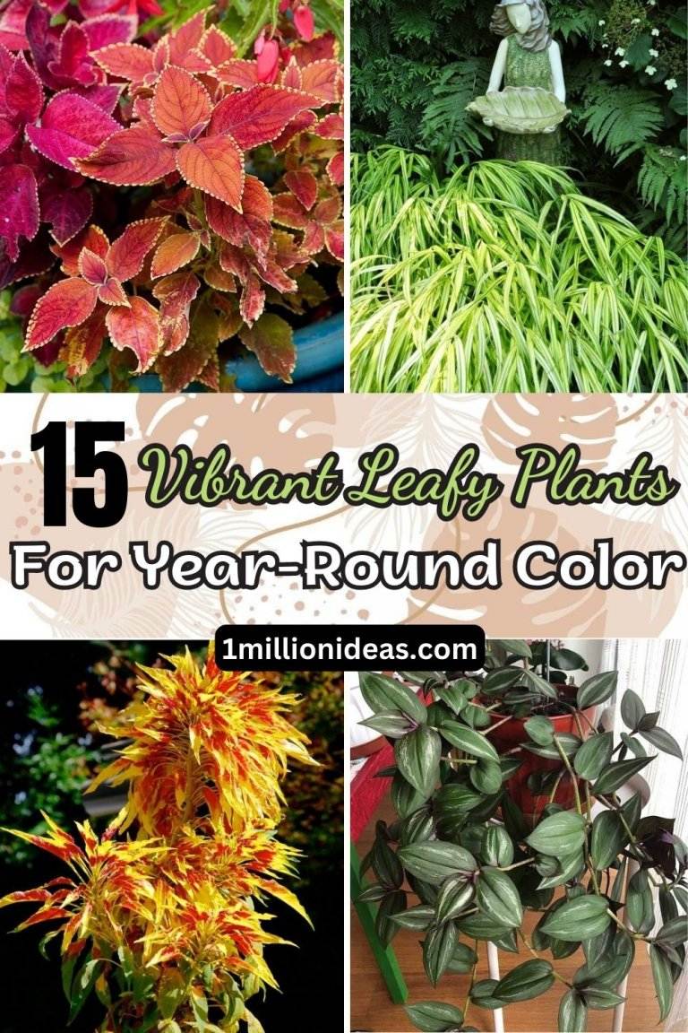 15 Vibrant Leafy Plants For YearRound Color