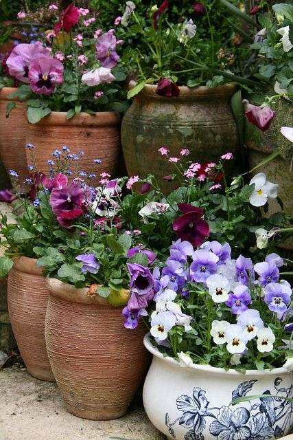 30 Cottage Garden Ideas To Bring Vintage Charm To Your Landscape - 227