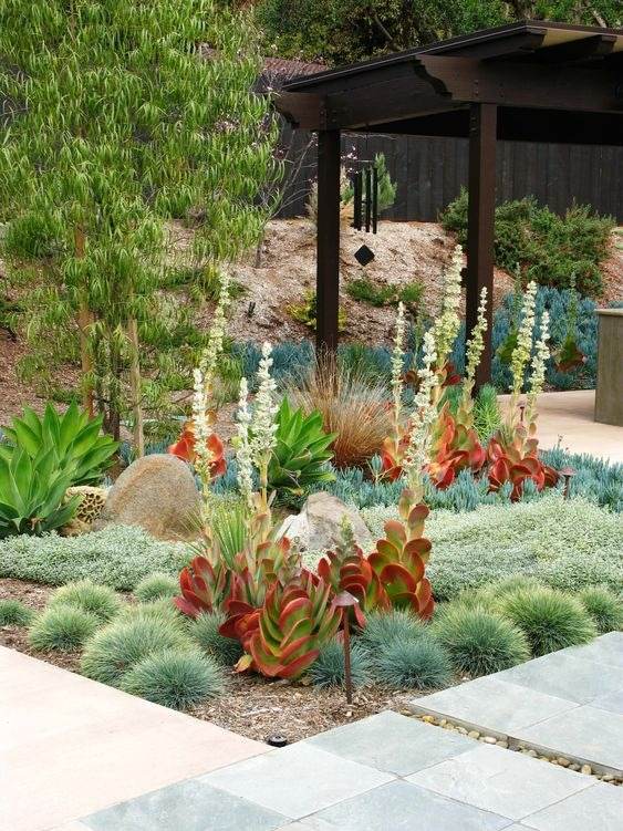 30 Desert Landscaping Ideas To Transform Your Dull Yard Into An Oasis - 193