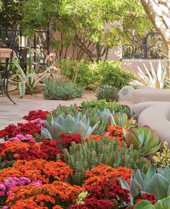 30 Desert Landscaping Ideas To Transform Your Dull Yard Into An Oasis - 195