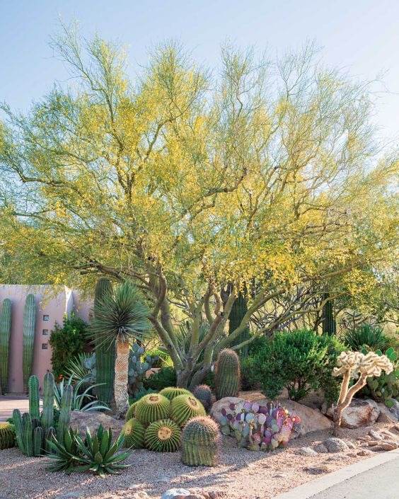30 Desert Landscaping Ideas To Transform Your Dull Yard Into An Oasis - 205