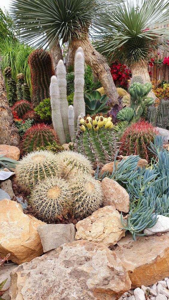 30 Desert Landscaping Ideas To Transform Your Dull Yard Into An Oasis - 207