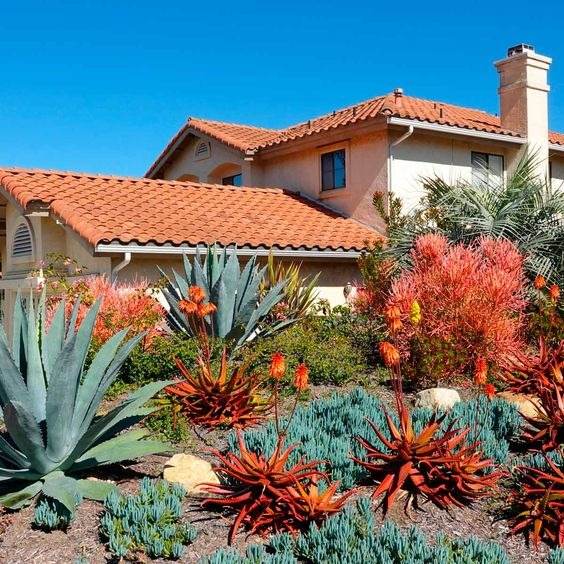 30 Desert Landscaping Ideas To Transform Your Dull Yard Into An Oasis - 215