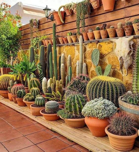 30 Desert Landscaping Ideas To Transform Your Dull Yard Into An Oasis - 217
