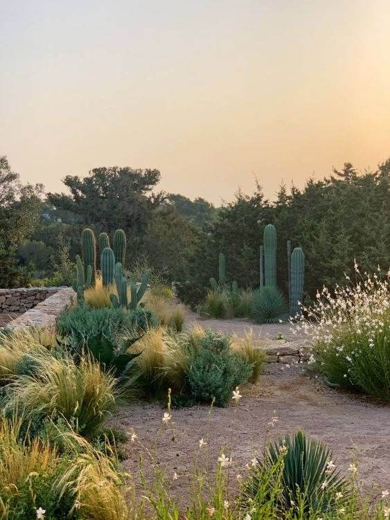 30 Desert Landscaping Ideas To Transform Your Dull Yard Into An Oasis - 223