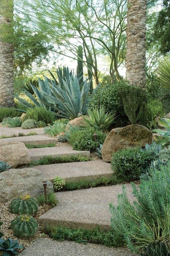 30 Desert Landscaping Ideas To Transform Your Dull Yard Into An Oasis - 225