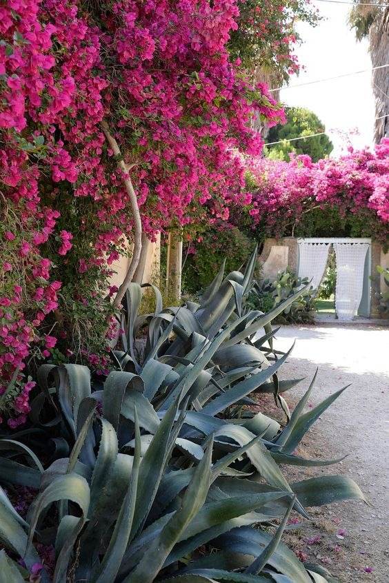 30 Desert Landscaping Ideas To Transform Your Dull Yard Into An Oasis - 227