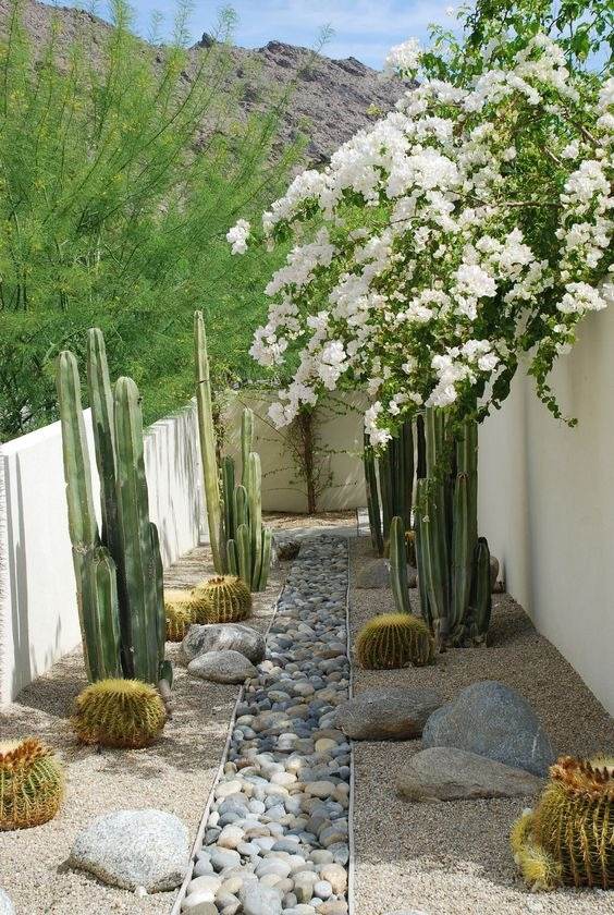 30 Desert Landscaping Ideas To Transform Your Dull Yard Into An Oasis - 235