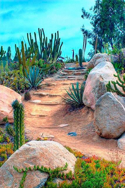 30 Desert Landscaping Ideas To Transform Your Dull Yard Into An Oasis - 237