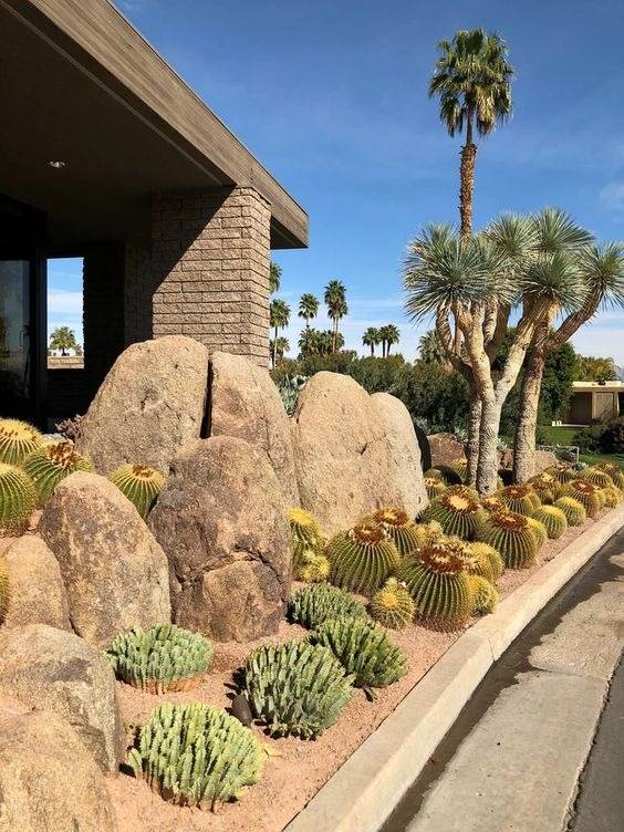 30 Desert Landscaping Ideas To Transform Your Dull Yard Into An Oasis - 239