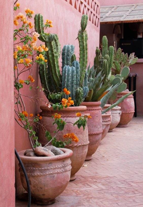 30 Desert Landscaping Ideas To Transform Your Dull Yard Into An Oasis - 241