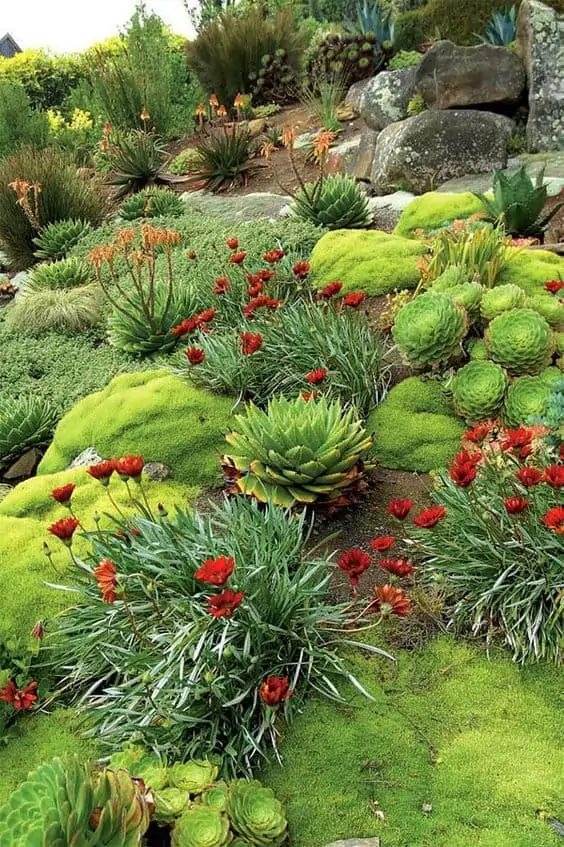 30 Desert Landscaping Ideas To Transform Your Dull Yard Into An Oasis - 247