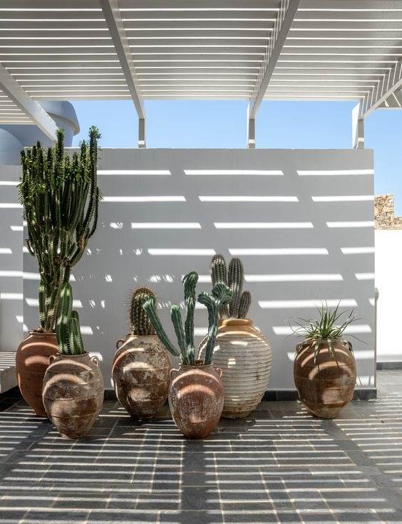 30 Desert Landscaping Ideas To Transform Your Dull Yard Into An Oasis - 249