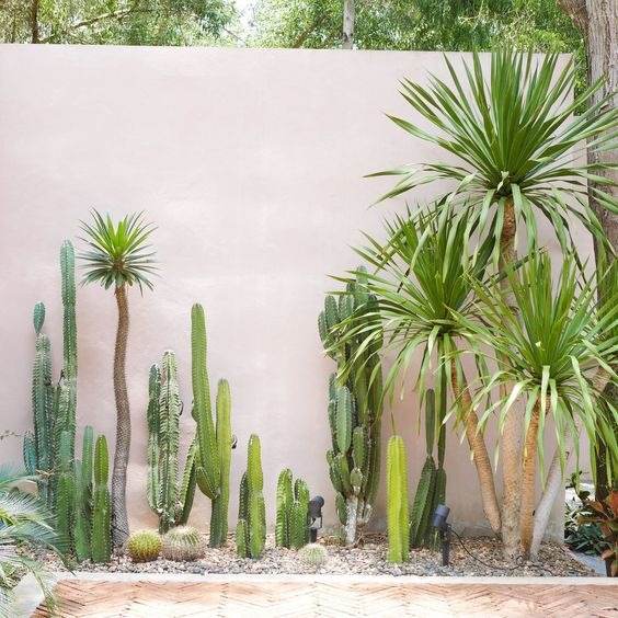 30 Desert Landscaping Ideas To Transform Your Dull Yard Into An Oasis - 251