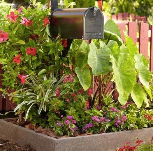 30 Mailbox Landscaping Ideas To Transform Your Home's Exterior - 197
