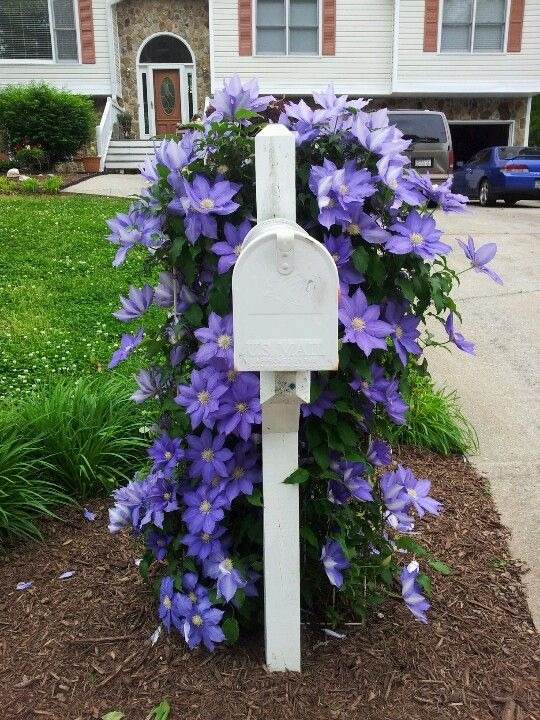 30 Mailbox Landscaping Ideas To Transform Your Home's Exterior - 199