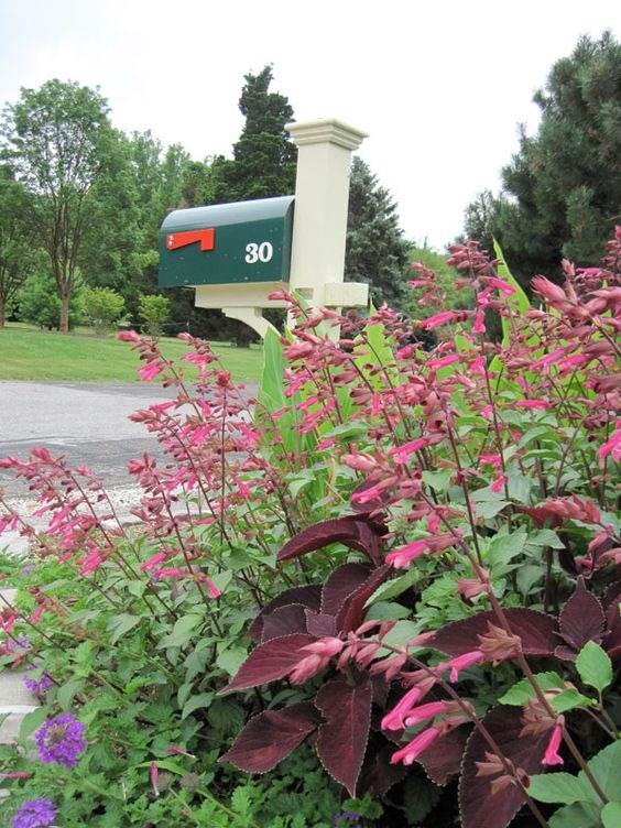 30 Mailbox Landscaping Ideas To Transform Your Home's Exterior - 205