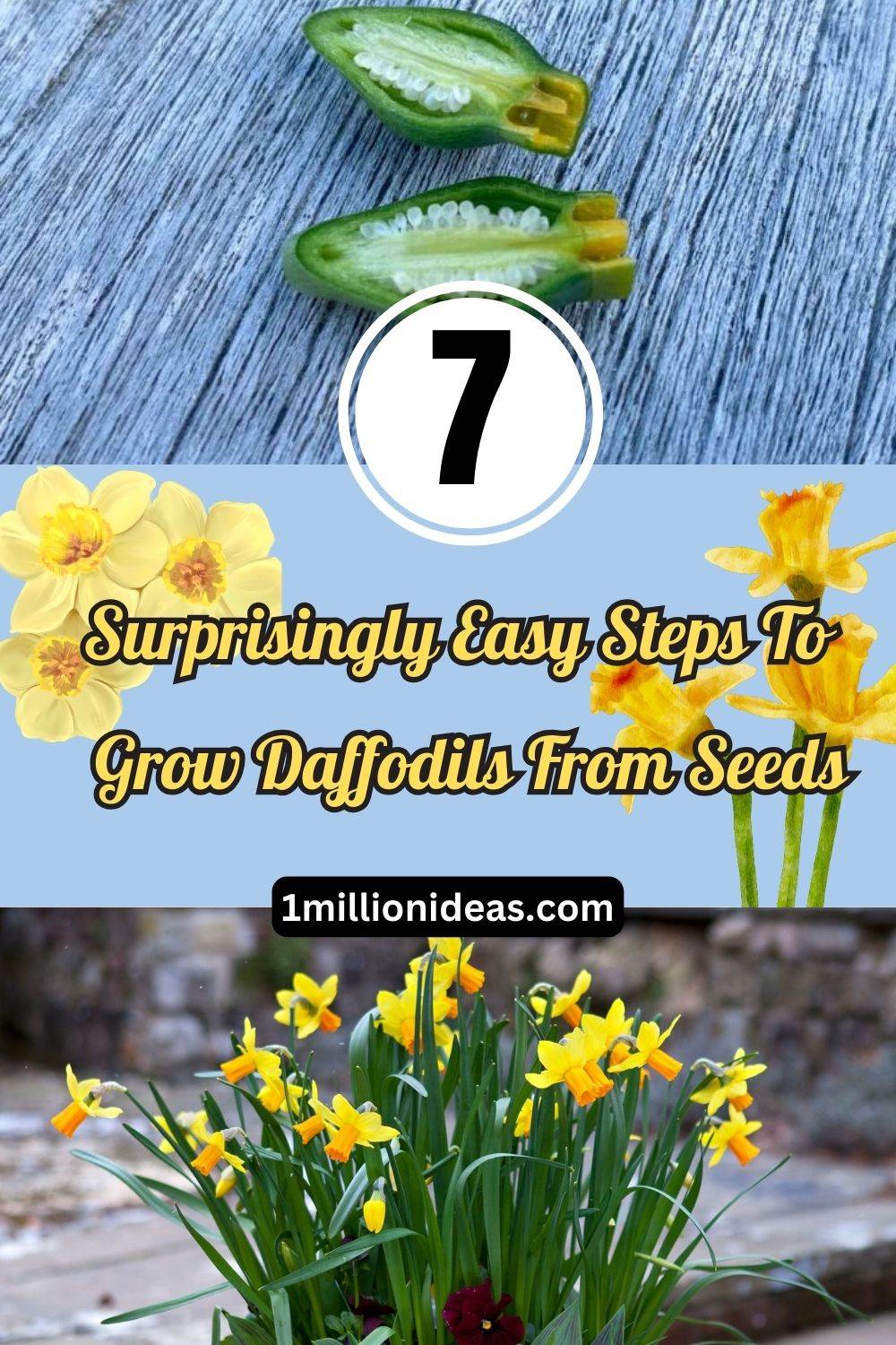 7 Surprisingly Easy Steps To Grow Daffodils From Seeds - 53