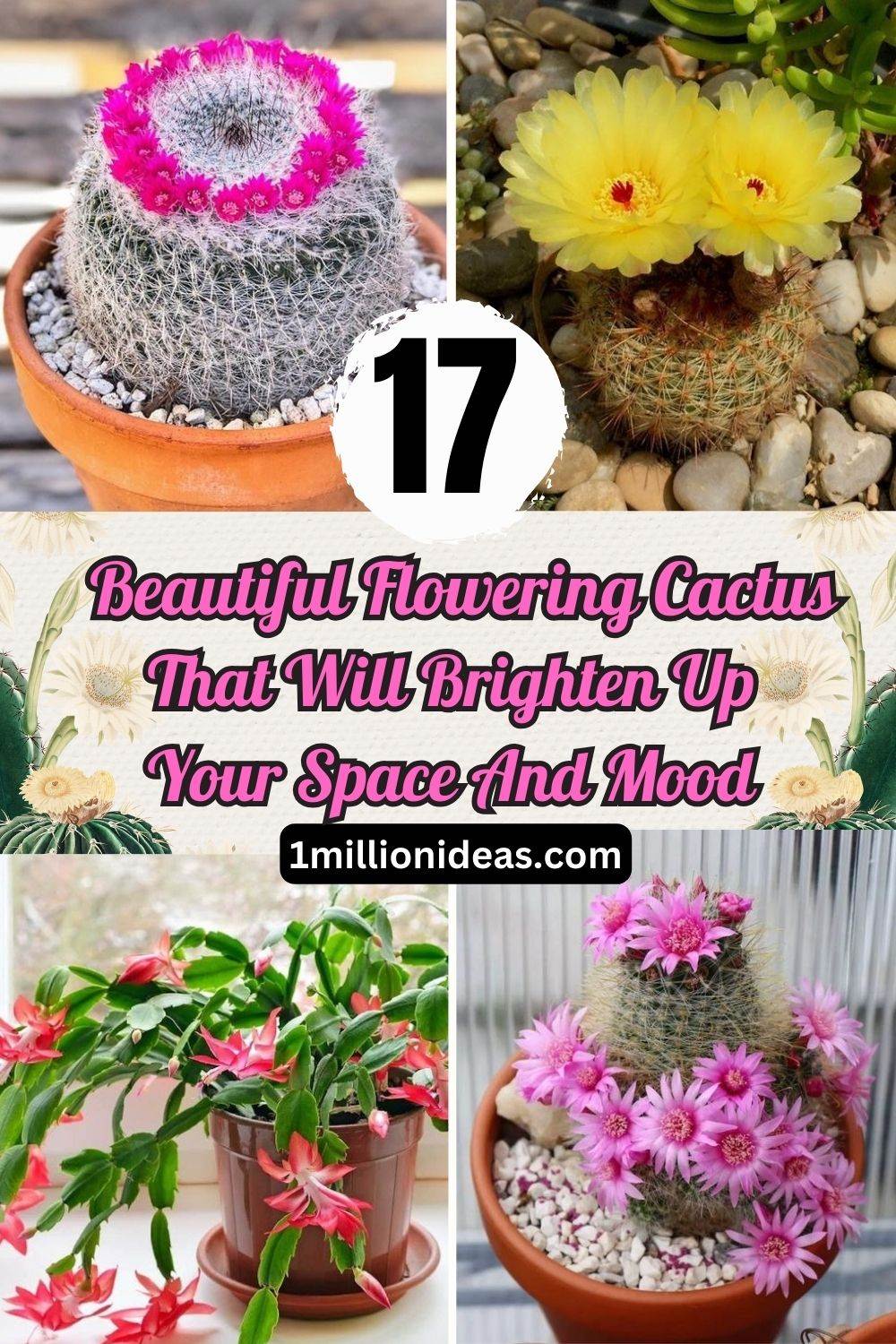 17 Beautiful Flowering Cactus That Will Brighten Up Your Space And Mood - 113