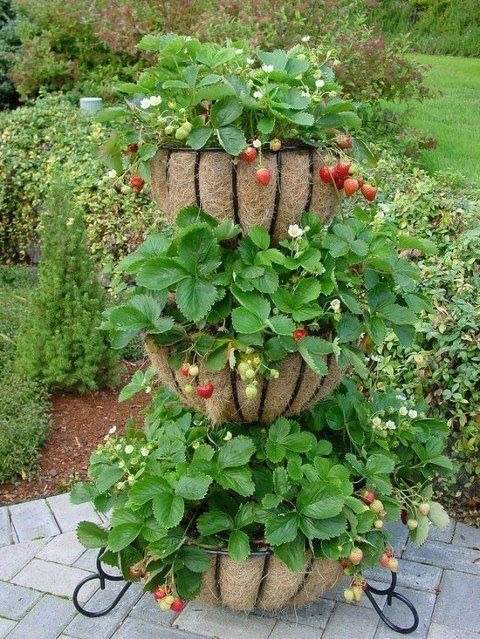 33 Tiered Planter Ideas To Create A Stunning Vertical Garden - 219