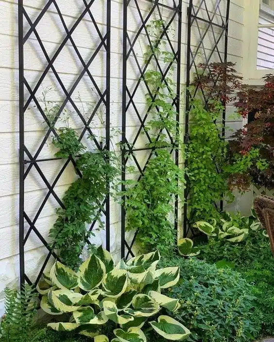35 Trellis Ideas To Save Space And Add Charm To Your Garden - 230 35 Trellis Ideas To Save Space And Add Charm To Your Garden - 229