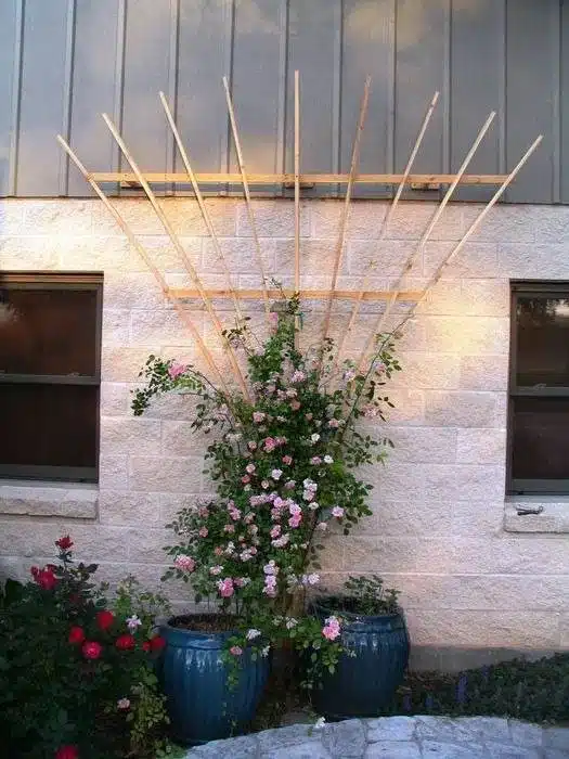 35 Trellis Ideas To Save Space And Add Charm To Your Garden - 232 35 Trellis Ideas To Save Space And Add Charm To Your Garden - 231