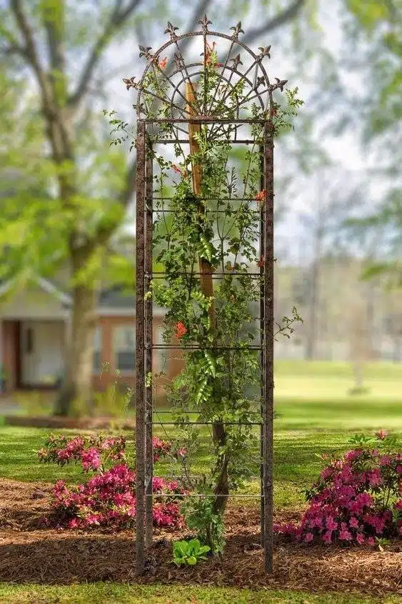 35 Trellis Ideas To Save Space And Add Charm To Your Garden - 234 35 Trellis Ideas To Save Space And Add Charm To Your Garden - 233
