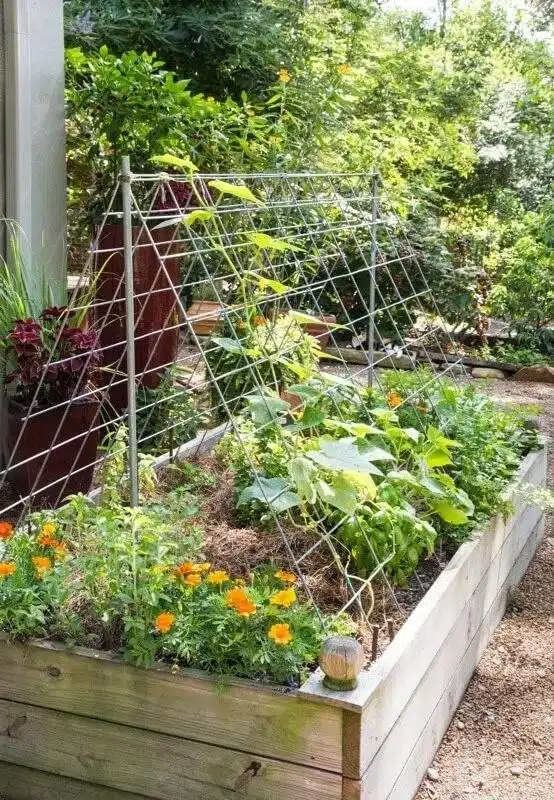 35 Trellis Ideas To Save Space And Add Charm To Your Garden - 244 35 Trellis Ideas To Save Space And Add Charm To Your Garden - 243