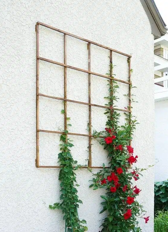 35 Trellis Ideas To Save Space And Add Charm To Your Garden - 255