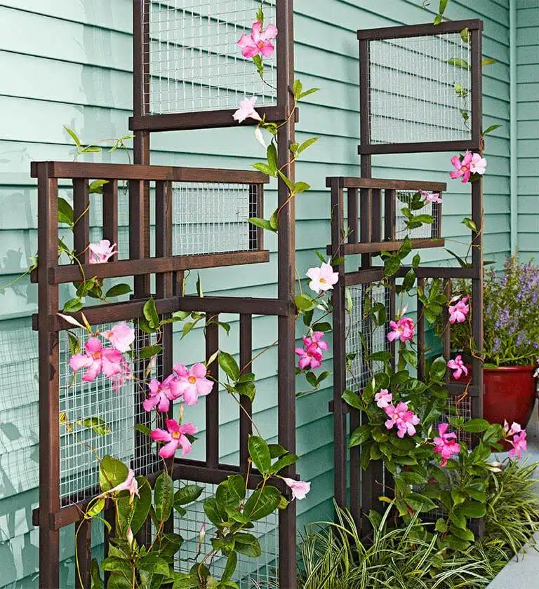 35 Trellis Ideas To Save Space And Add Charm To Your Garden - 261