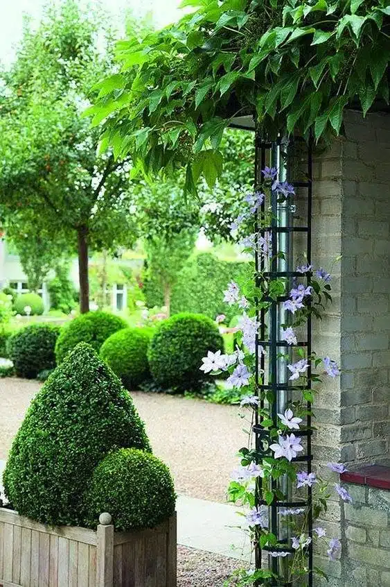 35 Trellis Ideas To Save Space And Add Charm To Your Garden - 287