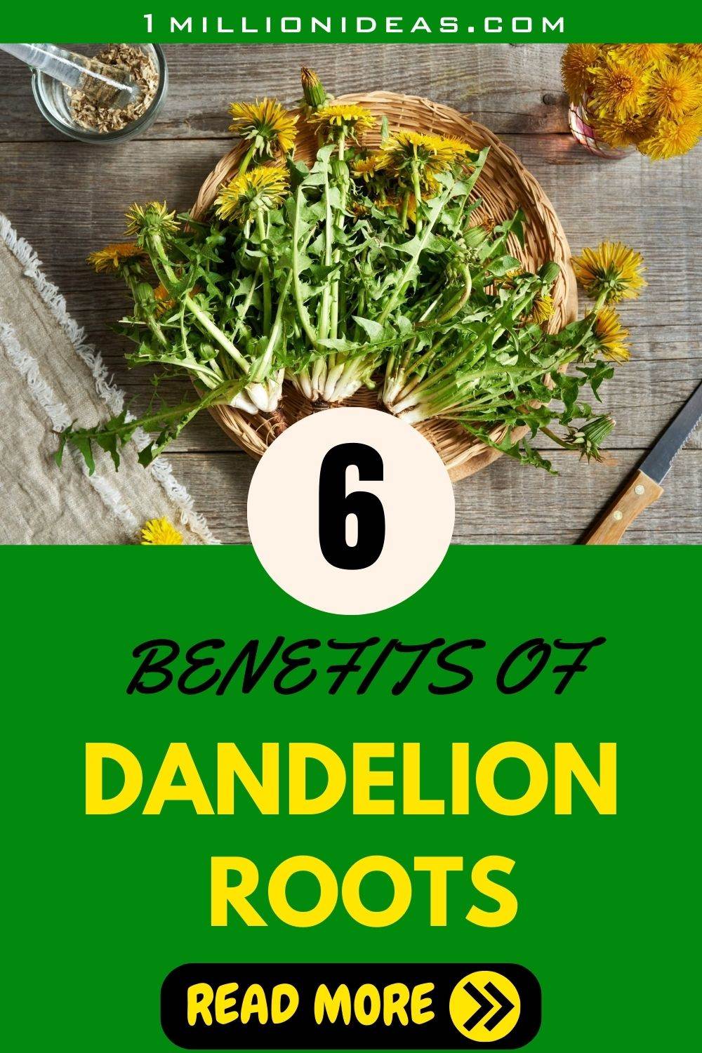 6 Amazing Benefits Of Dandelion Roots For Your Garden And Your Body - 47