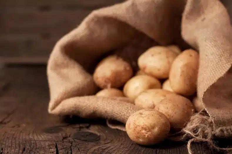 Easy and Cheap Way to Grow Potatoes in a Bag Giving a Bountiful Harvest at Home - 125