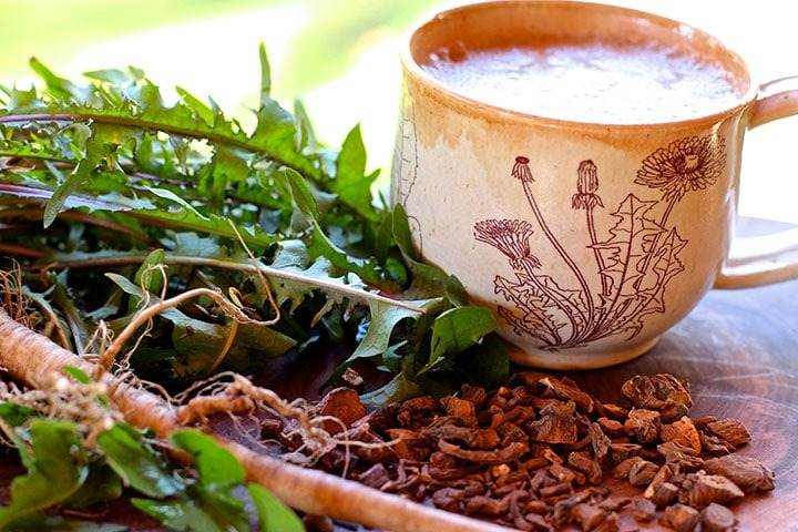 6 Amazing Benefits Of Dandelion Roots For Your Garden And Your Body - 53