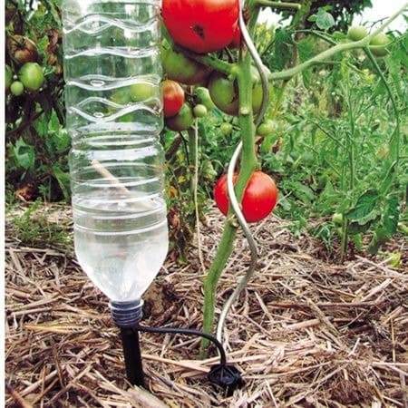 6 Steps To Craft A DIY Automatic Bottle Vegetable Waterer - 111