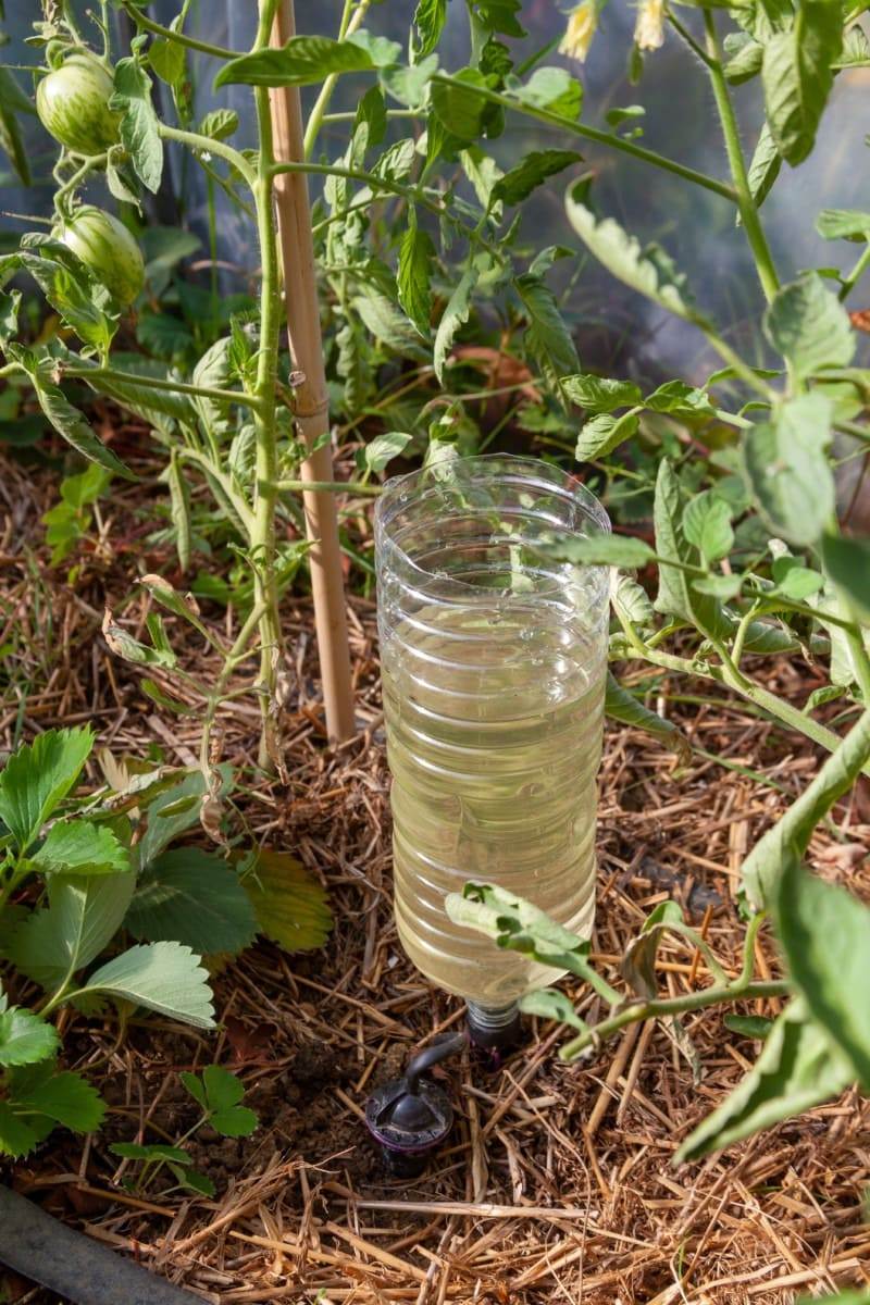 6 Steps To Craft A DIY Automatic Bottle Vegetable Waterer - 101