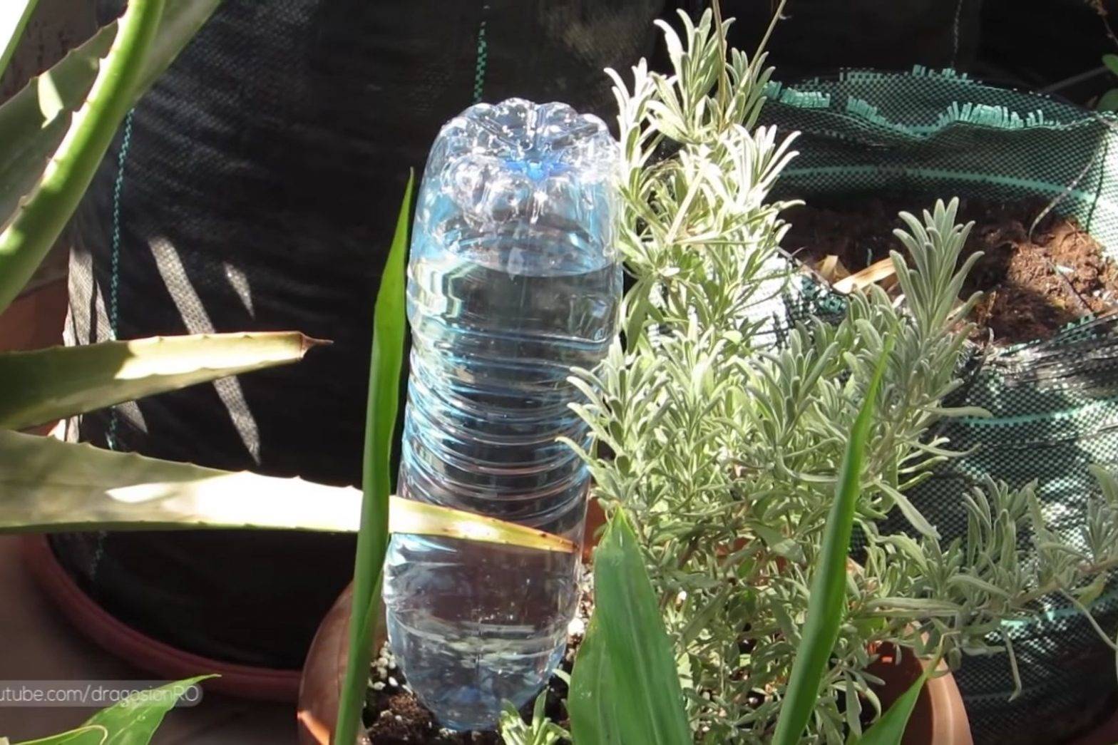 6 Steps To Craft A DIY Automatic Bottle Vegetable Waterer - 113